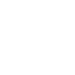instagram footer